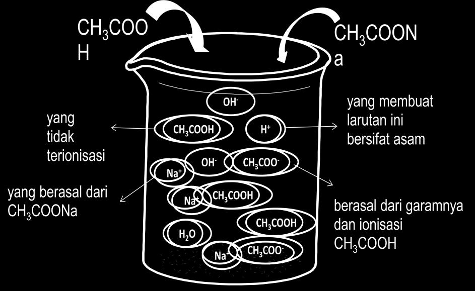 Akibatnya, larutan tersebut akan mengandung: Sejumlah asam asetat, CH 3 COOH, yang tidak terionisasi Sejumlah ion asetat, CH 3 COO -, yang berasal dari garamnya Jumlah ion hidrogen, H + yang lebih