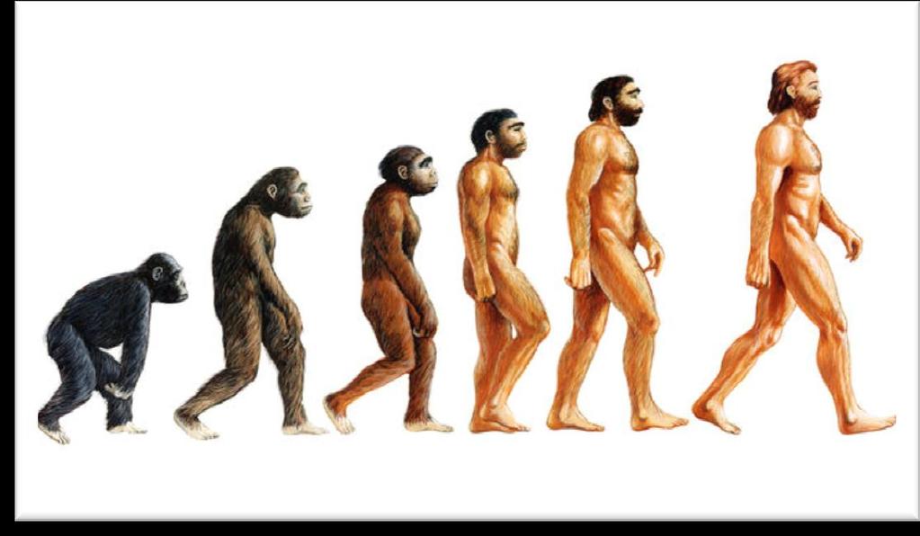 Teori Evolusi Evolusi adalah suatu proses