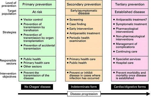 Leavell and Clark s 3 Levels of Prevention I II