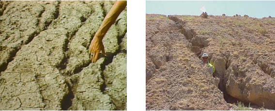Erosi alur terjadi karena air mengalir di permukaan tanah tidak merata, tetapi terkonsentrasi pada alur tertentu, sehingga pengangkutan tanah terjadi tepat pada tempat aliran permukaan terkonsentrasi.
