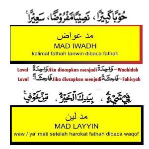 Arti iwad memiliki menurut bahasa Mad Iwadh