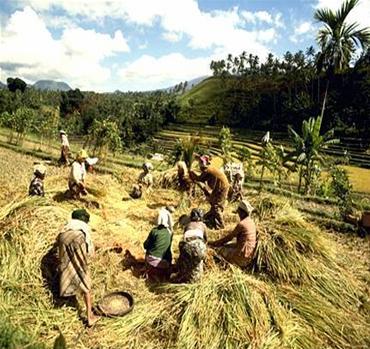 Jenis Tanah & Pemanfaatannya di Indonesia Tanah merupakan lapisan kulit bumi paling atas. Tanah terbentuk secara alami yaitu dari hasil pelapukan dan pengendapan batuan bahan-bahan organik.