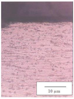 korosi dari baja laterit walaupun tidak signifikan. Pengaruh elemen tambahan dibuktikan dari pengamatan struktur mikro seperti yang terlihat pada Gambar 9 s/d Gambar 11. Gambar 10.