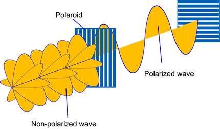Gelombang cahaya memiliki arah getar ke segala arah kemudian dilewatkan ke sebuah polarisator/polaroid, maka akan keluar gelombang yang mempunyai satu arah getar.
