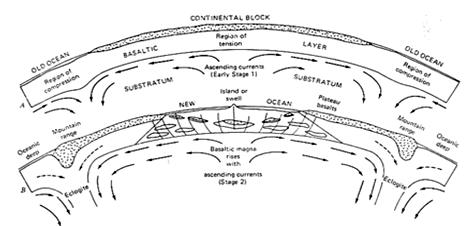 Ilustrasi Arthur Holmes (1944) untuk memperlihatkan hipotesanya mengenai arus konveksi mantel sebagai gaya pengendali pengapungan be