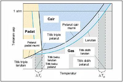 2. Kenaikan Titik Didih ( T b ) dan Penurunan Titik Beku ( T f ) Tekanan uap larutan lebih rendah (turun) dibanding pelarut murni, maka konsekuensinya larutan juga akan mendidih pada suhu yang lebih