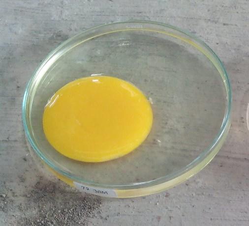 Selama pertumbuhan dan perkembangan embrio ayam di dalam telur memperoleh makanannya dari