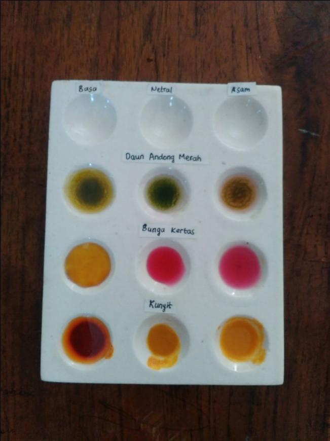 Hasil Praktikum : Daun andong merah dapat dijadikan indikator asam sekaligus basa.