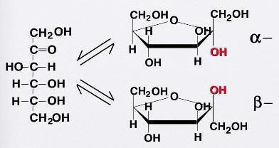 Fruktosa mengandung lima gugus hidroksil dan gugus karbonil keton pada C-2 dari rantai enam-karbon. Molekul ini kebanyakan berada dalam bentuk siklik.