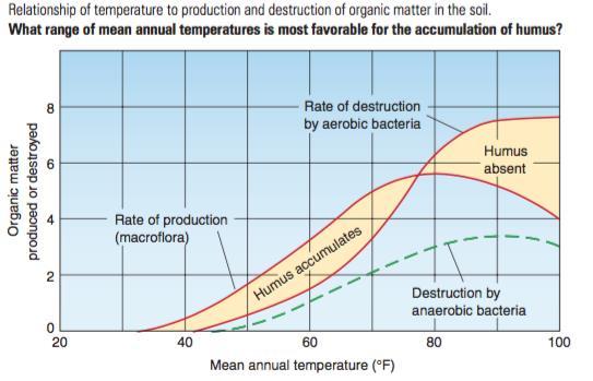 32 0 F = 0 0 C Suhu secara langsung mempengaruhi aktivitas mikro organisme didalam tanah yang berkaitan dengan dekomposisi material organik.