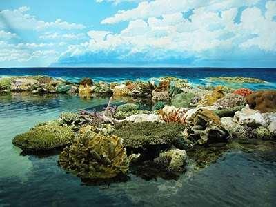 Sebuah tebing karang biasanya ditembus oleh beberapa saluran yang