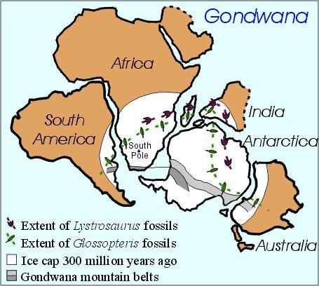 4. Bukti Iklim Purba (Paleoclimatic) Sebaran lapisan es di belahan bumi bagian selatan pada 250 300 juta tahun yang lalu serta sebaran fosil Lystrosaurus dijumpai di benuabenua Afrika, India, dan