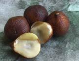 Strawberi Durian Salak Orkid Industri asas tani Aktiviti memetik kelapa sawit