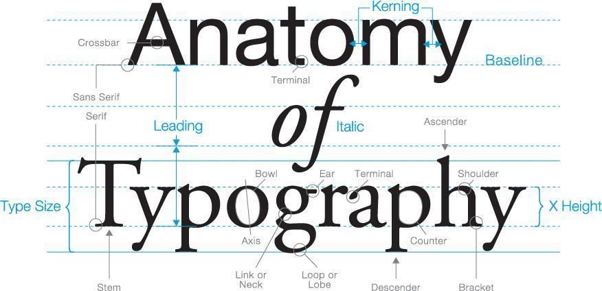 3.1.2 Anatomi Huruf Pada tipografi, terdapat ilmu anatomi huruf.