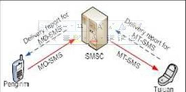 Fungsi utama SMSC adalah untuk mengirimkan (fungsi forward) pesan singkat antara SME dan MS, apabila penerima SMS tidak ditemukan karena MS tujuan tidak aktif maka SMSC akan menyimpan (fungsi store)