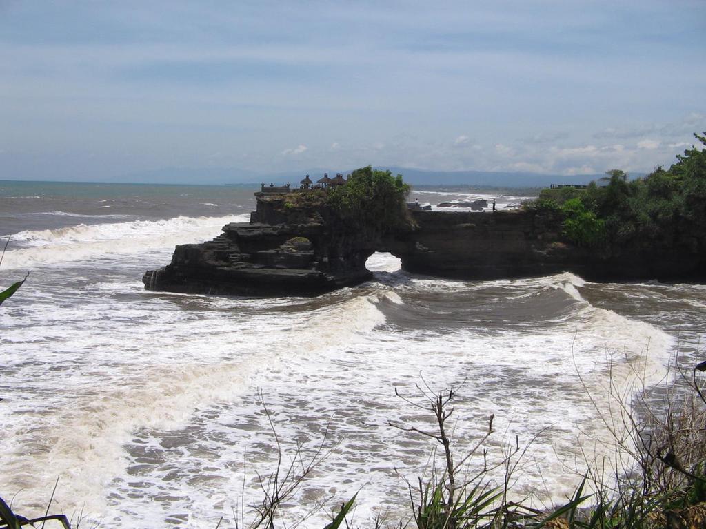 2. PANTAI Ekosistem pantai letaknya berbatasan dengan ekosistem darat dan laut atau disebut daerah pasang surut.