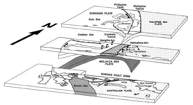jumlah Kejadian Gempa Bumi Wilayah Pulau Morotai termasuk zona aktif seismik.
