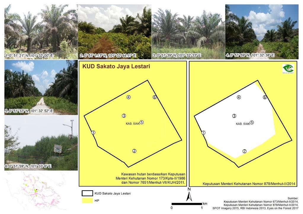 Namun setelah terbitnya SK 878/Menhut-II/2014 pada 29 September 2014, tentang Kawasan Hutan di Provinsi Riau, areal perkebunan KUD Sakato Jaya Lestari telah menjadi APL lebih kurang 417 hektar dan