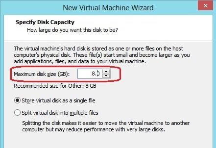 sebaiknya sesuai saja dengan yang direkomendasikan disitu lalu pilih Store virtual disk as a single file dan klik Next. 6.
