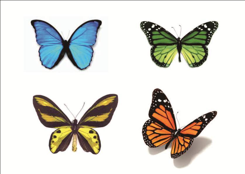 Motif kupu-kupu termasuk gambar tema dengan 26 Macam