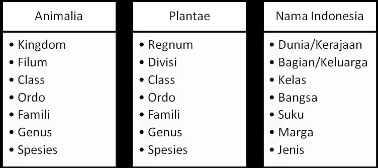 Pteridophyta adalah nama takson pada tingkat