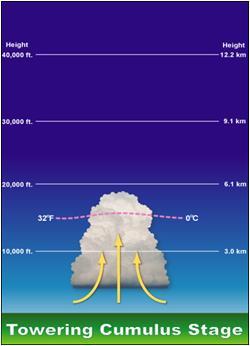 Gambar 1. Tahap tumbuh (Cumulus Stage) b. Tahap Dewasa (Mature Stage) Didalam awan terjadi up-draft dan down-draf, atau udara naik dan udara turun (gambar 2).