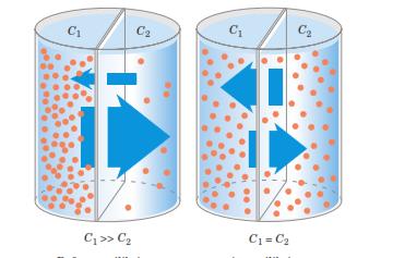 dalam keadaan setimbang. Ilustrasi proses difusi dalam sel bisa digambarkan seperti gambar 3.7 berikut ini. Sebelum Gambar 3.