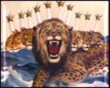 (Wahyu 13:1) Mari kita bandingkan binatang ini dengan tanduk kecil dalam kitab Daniel agar kita dapat mengidentifikasinya.