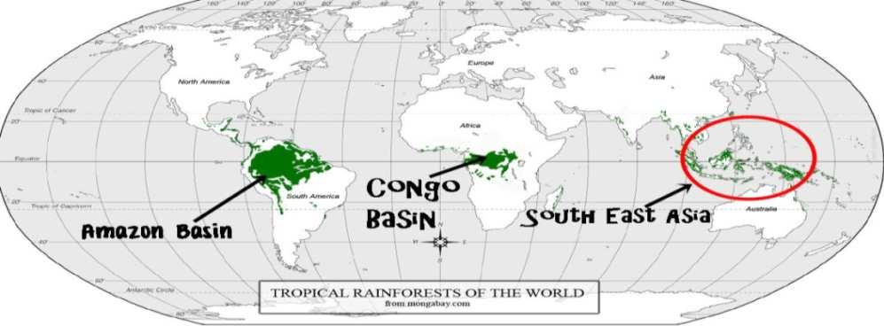 Ekologi Tumbuhan adalah di Afrika, yang berpusat di Zaire Basin, dengan wilayah terluar mulai dari Dahomey ke Siera Leone di bagian selatan, dan Madagaskar di bagian barat (Malhi & Grace, 2000; Jermy