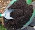 1. Kompos merupakan pupuk organik yang berasal dari sisa tanaman dan kotoran hewan yang telah mengalami proses dekomposisi atau pelapukan. 2.