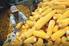 Analisis elastisitas permintaan jagung di Jawa tengah