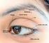 Bagian-bagian yang melindungi mata: 1. Alis mata, berguna untuk menghindarkan masuknya keringat ke mata kita.