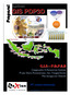 Aplikasi GIS PDP3D G.I.S P.D.P.3.D PT. Lexion Indonesia