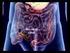 dlp3cerna - - Sistem Pencernaan Manusia - - Pencernaan Manusia 8003 Biologi