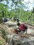 Latar belakang. Kerusakan hutan. Perlu usaha: Perlindungan Pemantauan 22/06/2012