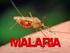 BAB 1 PENDAHULUAN. Malaria adalah penyakit infeksi yang disebabkan oleh protozoa parasit