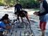 SELEKSI UNIT PENANGKAPAN IKAN DI KABUPATEN MAJENE PROPINSI SULAWESI BARAT Selection of Fishing Unit in Majene Regency, West Celebes