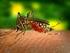 Infeksi virus dengue menyebabkan penyakit