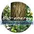 Rancangan Umum Pengembangan Bioenergi Berbasis Kehutanan : Sebuah Inisiasi