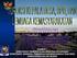 LEMBARAN DAERAH KABUPATEN PACITAN NOMOR 5 TAHUN 2009 PERATURAN DAERAH KABUPATEN PACITAN NOMOR 8 TAHUN 2008 TENTANG