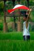 KENDALA PELAKSANAAN LANDREFORM DI INDONESIA: Analisa terhadap Kondisi dan Perkembangan Berbagai Faktor Prasyarat Pelaksanaan Reforma Agraria