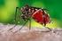 HUBUNGAN UPAYA PENCEGAHAN GIGITAN NYAMUK DENGAN KEBERADAAN KASUS MALARIA DI PUSKESMAS BONTOBAHARI
