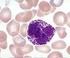 BAB 1 PENDAHULUAN. merusak sel-sel darah putih yang disebut limfosit (sel T CD4+) yang tugasnya