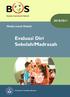 Modul Evaluasi Diri Sekolah/Madrasah