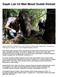 Gajah Liar Ini Mati Meski Sudah Diobati