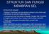 STRUKTUR DAN FUNGSI MEMBRAN SEL