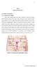 Gambar 2.1 Anatomi Sistem Reproduksi Wanita