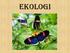 What is ecology? Ecology is the scientific study of the interactions between organisms and environment.