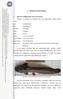 2. TINJAUAN PUSTAKA. Gambar 2. Ikan lele sangkuriang (Clarias gariepinus)
